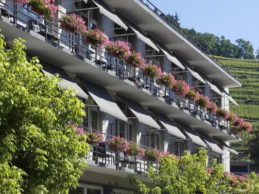 Hotel de l'Ange